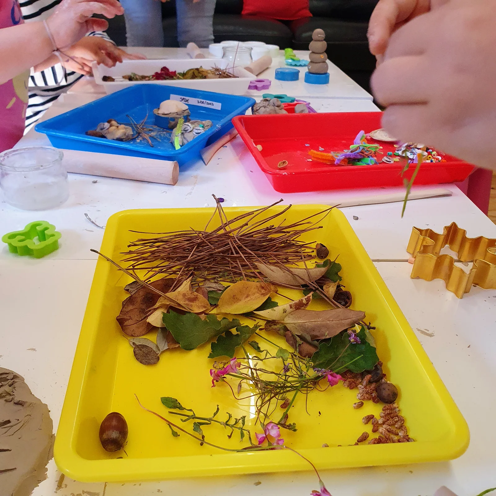Composition land art : plateau de feuilles, glands et fleurs